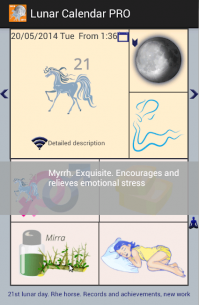 Lunar Calendar PRO 4.2 Apk for Android 3