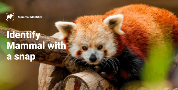 Mammal Identifier: Animal Snap 1.1 Apk for Android 1 mammal identifier animal snap cover