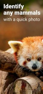 Mammal Identifier: Animal Snap 1.1 Apk for Android 1