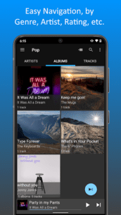 MediaMonkey (PRO) 2.0.2.1223 Apk for Android 4