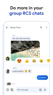 Google Messages 20250115 Apk for Android 1