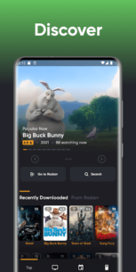 nzb360 – Sonarr / Radarr / SAB (PRO) 19.4 Apk for Android 2