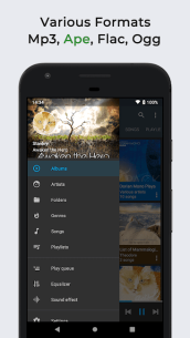 Omnia Music Player (PREMIUM) 1.7.9 Apk for Android 2