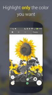 Paletta – Smart color splash (PRO) 2.1.3 Apk for Android 2