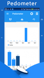 Pedometer Step Counter Pro 1.5 Apk for Android 2