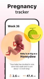 Ovulation & Period Tracker (PREMIUM) 1.074.77 Apk for Android 5