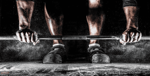 Personal Training Coach (PREMIUM) 10.2 Apk for Android 1 perseus cover