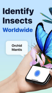 Picture-Insect-Spider-ID (PREMIUM) 2.8.32 Apk for Android 1