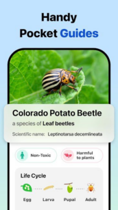 Picture-Insect-Spider-ID (PREMIUM) 2.8.32 Apk for Android 5