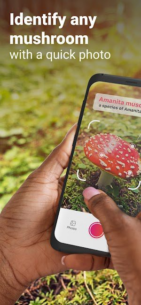 Picture-Mushroom-Mushroom-ID (PREMIUM) 2.9.29 Apk for Android 1