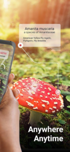 Picture-Mushroom-Mushroom-ID (PREMIUM) 2.9.29 Apk for Android 2