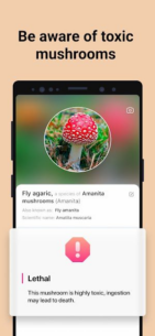 Picture-Mushroom-Mushroom-ID (PREMIUM) 2.9.29 Apk for Android 3