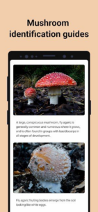 Picture-Mushroom-Mushroom-ID (PREMIUM) 2.9.29 Apk for Android 4