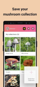 Picture-Mushroom-Mushroom-ID (PREMIUM) 2.9.29 Apk for Android 5