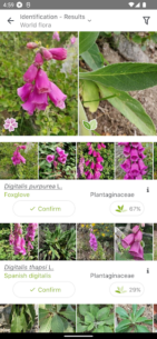 PlantNet Plant Identification 3.20.6 Apk for Android 2