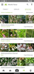 PlantNet Plant Identification 3.20.6 Apk for Android 3