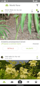 PlantNet Plant Identification 3.20.6 Apk for Android 4