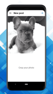 Repost for Instagram – JaredCo 15.58 Apk for Android 5