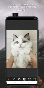 Reversify–Reverse Image Search (FULL) 3 Apk for Android 2