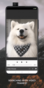 Reversify–Reverse Image Search (FULL) 3 Apk for Android 3