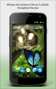 Season Zen HD 2.1.1 Apk for Android 5