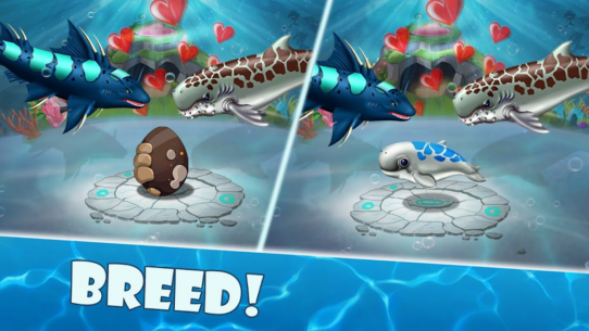 Shark Mania 15.02 Apk + Mod for Android 4