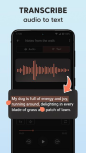 Sound Recorder Plus: Voice Rec (PRO) 1.10.6 Apk for Android 2