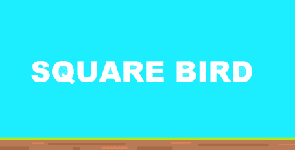 square bird cover