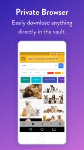 Easy Vault : Hide Pictures, Videos, Gallery, Files (PRO) 2.79 Apk for Android 3