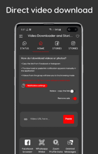 Video Downloader and Stories (PRO) 9.7.8 Apk for Android 1