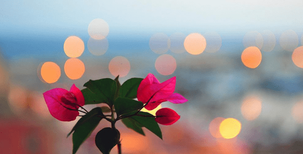 Vidooz - video filters 1.22 Apk for Android 1 vidooz video filters cover