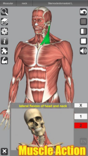 3D Anatomy 6.8 Apk for Android 1