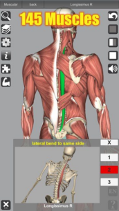 3D Anatomy 6.8 Apk for Android 2