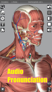 3D Anatomy 6.8 Apk for Android 3