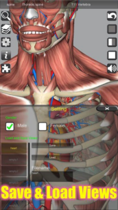 3D Anatomy 6.8 Apk for Android 4