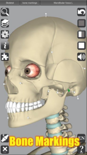 3D Anatomy 6.8 Apk for Android 5