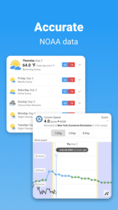 WillyWeather 4.0.8 Apk for Android 1